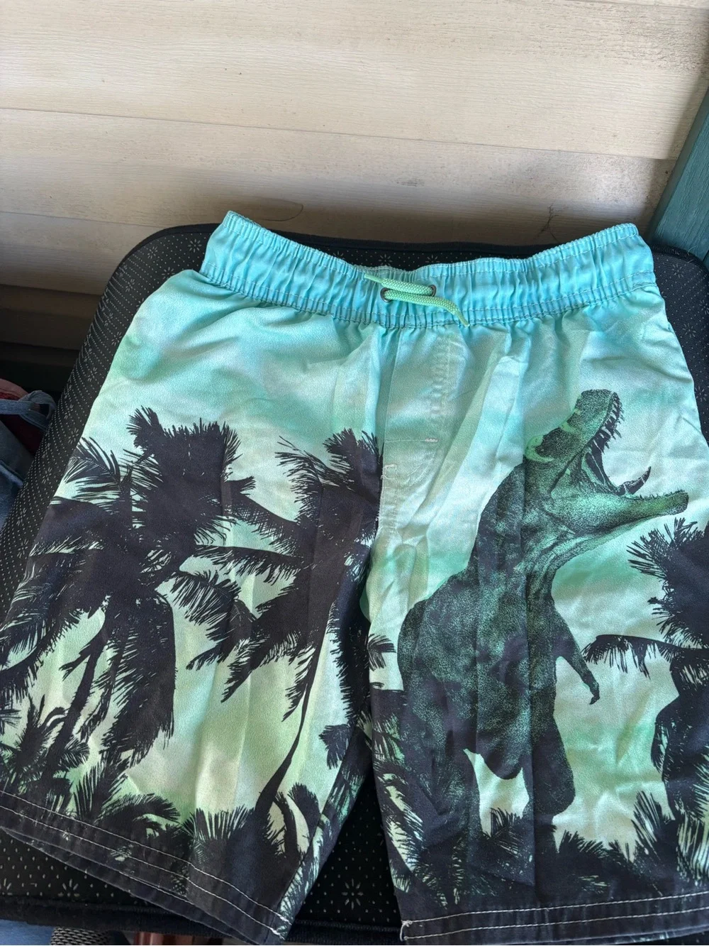 OshKosh B'gosh Teal Dino & Palm Swim Shorts